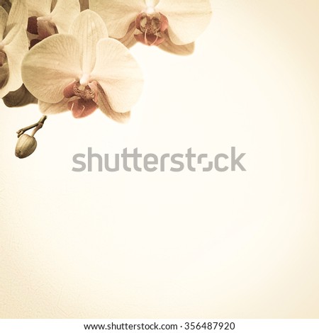 orchids in vintage color style on mulberry paper texture for background