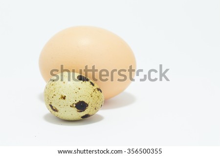 chicken and quail egg