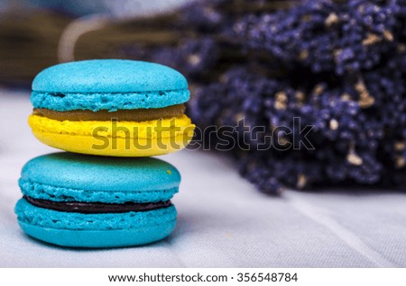Sweet and colourful french macaroons on a light background