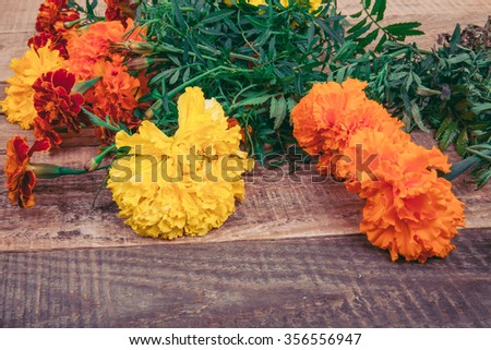 marigold on a wooden background
