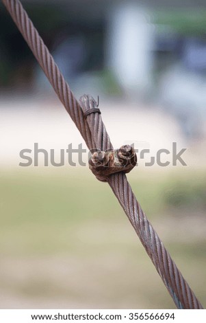 old metal link locked matal cable