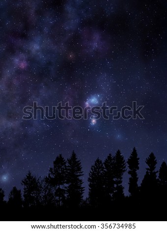 Night scene with forest and clear starry sky above