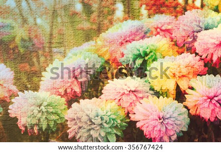 Abstract blurred rainbow color chrysanthemums flower on cement texture background 