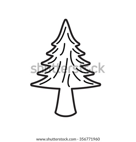 Pine tree on white background