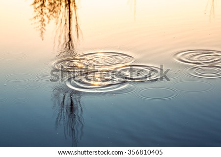 Ripples in the pond
