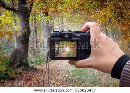 hand holding the Digital camera, shoot of forest using liveview