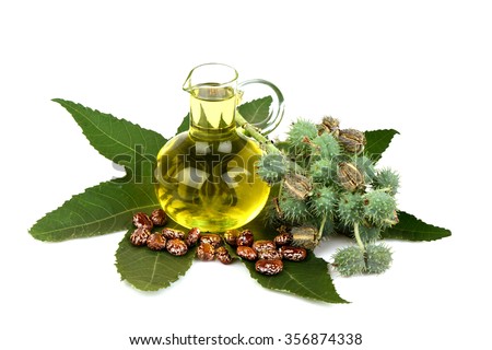 Castor oil bottle with castor fruits, seeds and leaf. Royalty-Free Stock Photo #356874338