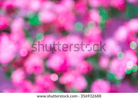 Pink and green abstract  bokeh defocused lights background