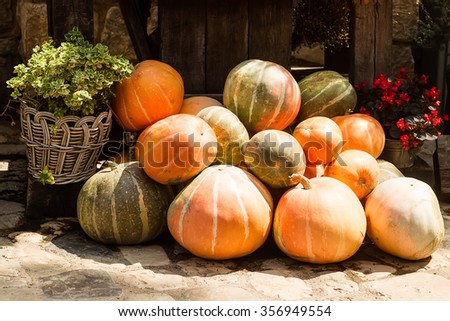 Photo of whole fresh ripe orange pumpkins stacked on sunny autumn day harvest time on countrified background, horizontal picture