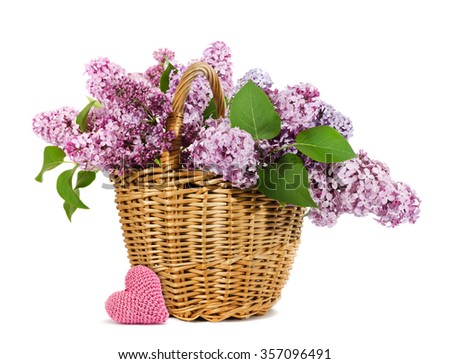 basket with a branch of lilac flower with a knitting heart isolated on a white