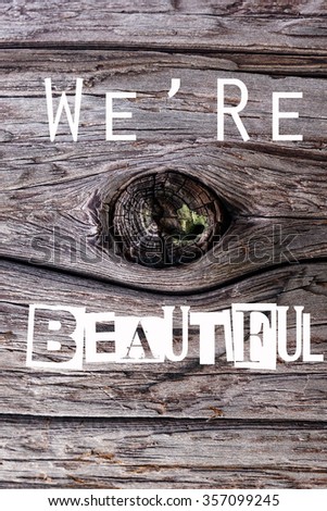 A word of "we're beautiful" in the background of wood                                  