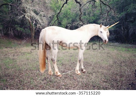 Unicorn Royalty-Free Stock Photo #357115220