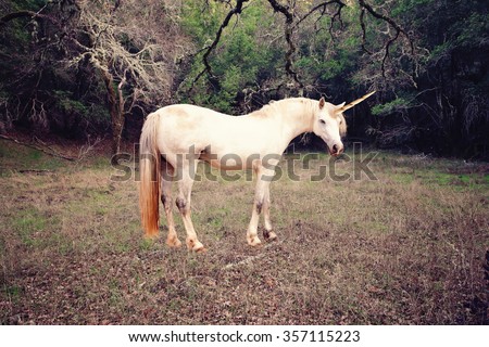 Unicorn Royalty-Free Stock Photo #357115223