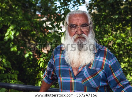 Portrait of handsome elderly aged man with magnificent gray-haired beard in summer park. 