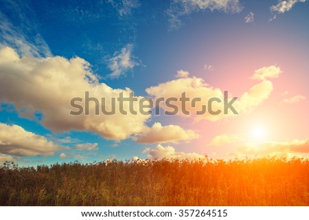 Field with cloudy sky at sunset