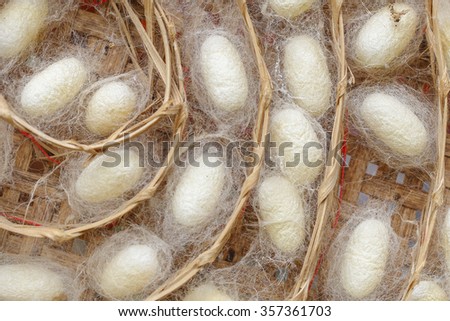 Close Up of  silk worm cocoons nests in bamboo basket