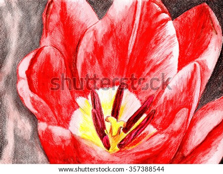 Painted abstract flower on a white background Red