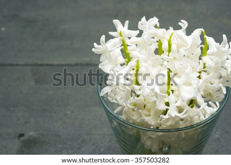 white hyacinths in glass vase