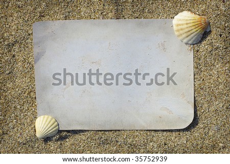 Old paper with shells