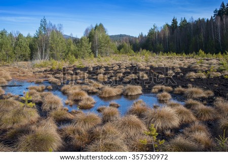 peat bog in the national park Sumava Europe Royalty-Free Stock Photo #357530972