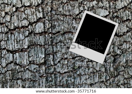 Empty photo frame on a tree trunk wood background