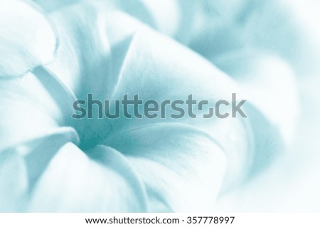 Flower background on paper texture, unfocused