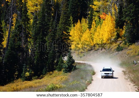 Yellow aspen trees at Cedar Breaks National Monument, Utah, USA Royalty-Free Stock Photo #357804587
