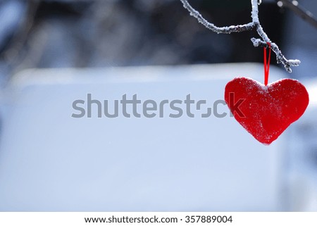 heart shape hanging on a tree branch. The background snow. selective focus