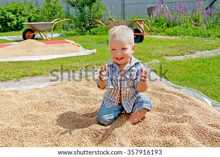 White kid plays with a grain of wheat, which is dried in the backyard farm. Harvesting - the son of a farmer and two cars in the background.