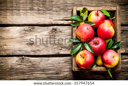 Fresh red apples in the wooden box.  On wooden background. Free space for text . Top view
