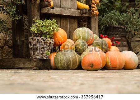 Photo of many whole big fresh ripe orange pumpkins stacked on autumn day harvest time farm yard on countrified background, horizontal picture