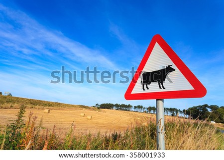 Waring sign for cow in  the country side in Aberdeen, Scotland UK
