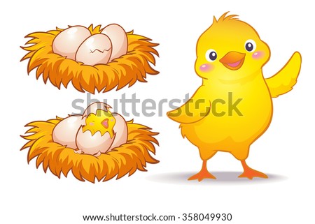 Vector of egg and little chicken