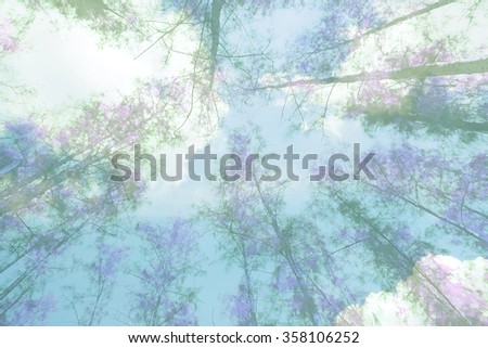 double exposure photo of tree branches in spring against sky