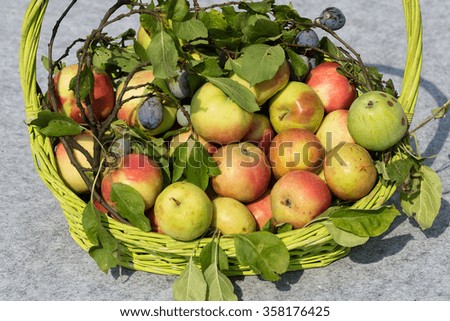 he wicker basket with apples and plums