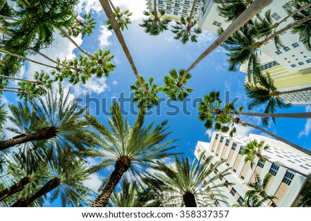 Beautiful Miami Beach fish eye cityscape with art deco architecture and palm trees.