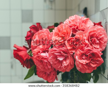Pink rose in vase near the home wall