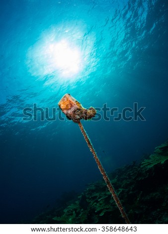 Float on the end of a rope with a sunburst behind in nice blue water near Isla mujeres off the coast of Mexico