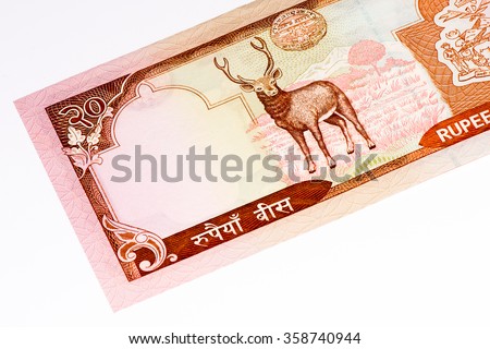 20 Nepalese rupee bank note. Nepalese rupee is the national currency of Nepal