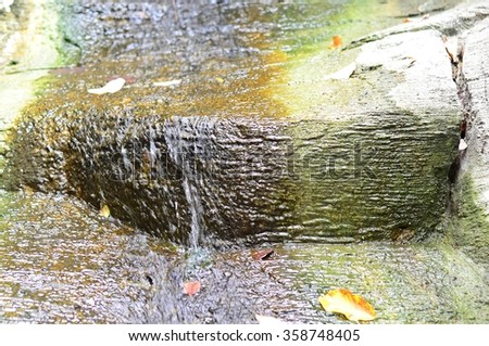 texture of mossy tone covered by water