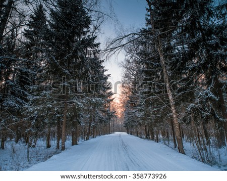 Forest road on a cold winter evening with colors of the setting sun in the background