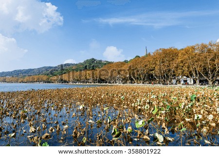 Hangzhou west lake beautiful scenery in the autumn, China