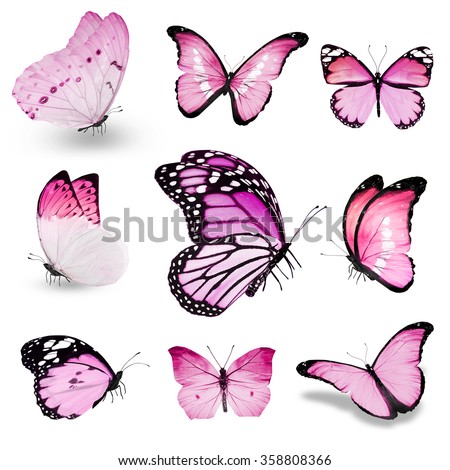 Nine pink butterflies on white background
