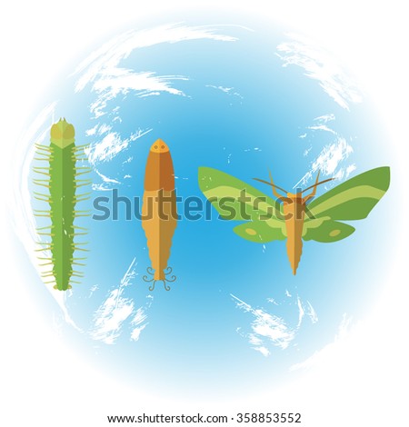 chrysalis, caterpillar, butterfly, icons, flat, signs, symbol. Background Earth