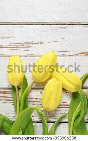 Beautiful yellow tulips on wooden background.