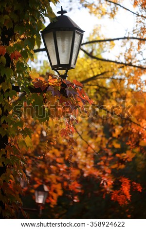Beautiful autumn bright golden yellow orange colored leaves branches of tree and black glass vintage lantern october season colorful urban landscape on natural background outdoor, vertical picture
