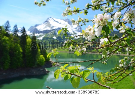 Spring in Switzerland