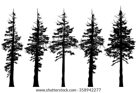 Pacific northwest old growth evergreen tree silhouette set
