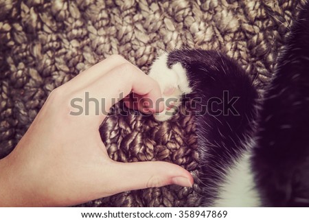 Person's hand and a cat's paw making a heart shape.  Instagram toned image
