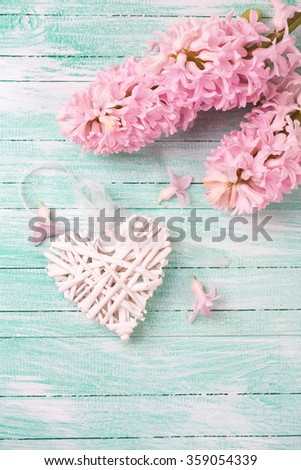 Decorative white heart and pink hyacinths on turquoise  wooden background. Selective focus. Place for text.